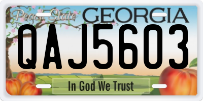 GA license plate QAJ5603