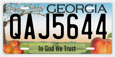 GA license plate QAJ5644