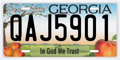 GA license plate QAJ5901