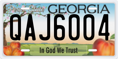 GA license plate QAJ6004