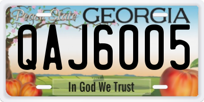 GA license plate QAJ6005