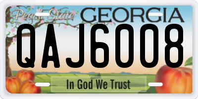 GA license plate QAJ6008