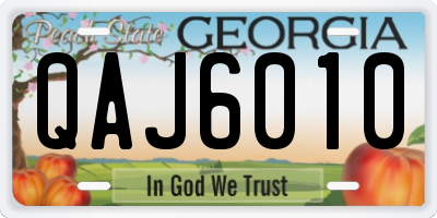 GA license plate QAJ6010