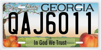 GA license plate QAJ6011