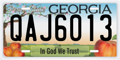 GA license plate QAJ6013