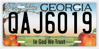GA license plate QAJ6019
