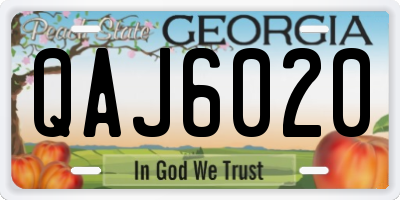 GA license plate QAJ6020