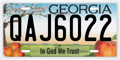 GA license plate QAJ6022