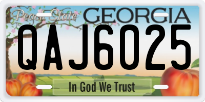 GA license plate QAJ6025