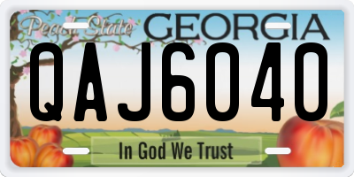 GA license plate QAJ6040