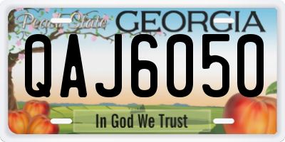 GA license plate QAJ6050