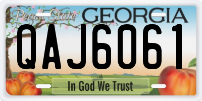 GA license plate QAJ6061