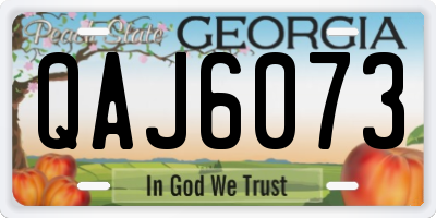 GA license plate QAJ6073