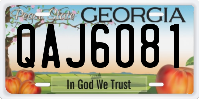 GA license plate QAJ6081