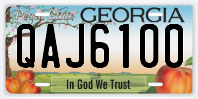 GA license plate QAJ6100