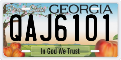 GA license plate QAJ6101