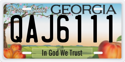 GA license plate QAJ6111
