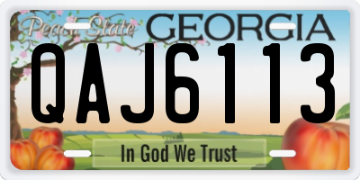 GA license plate QAJ6113