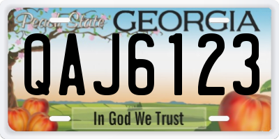 GA license plate QAJ6123