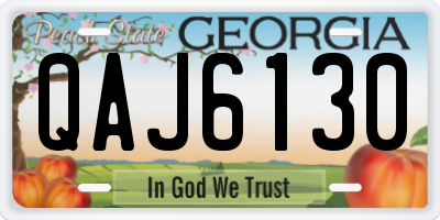 GA license plate QAJ6130