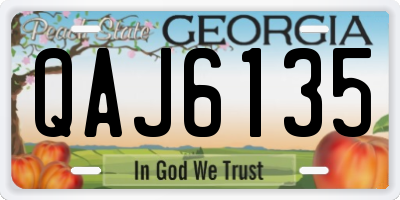 GA license plate QAJ6135