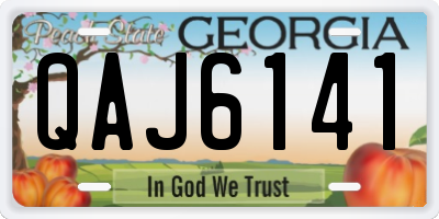 GA license plate QAJ6141