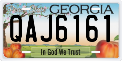 GA license plate QAJ6161