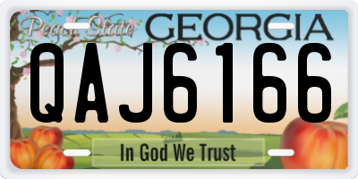 GA license plate QAJ6166