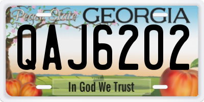 GA license plate QAJ6202