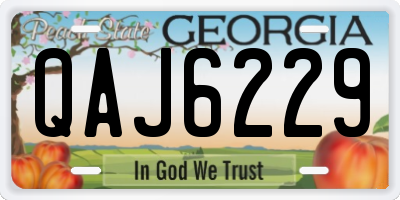 GA license plate QAJ6229