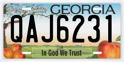 GA license plate QAJ6231
