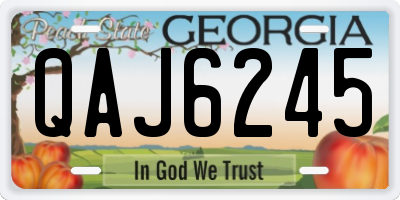 GA license plate QAJ6245