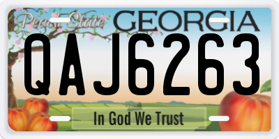 GA license plate QAJ6263