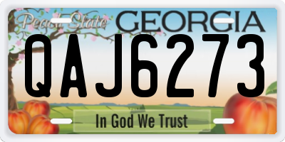 GA license plate QAJ6273