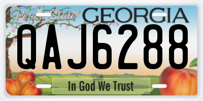 GA license plate QAJ6288