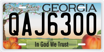 GA license plate QAJ6300