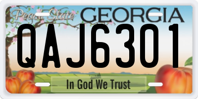 GA license plate QAJ6301