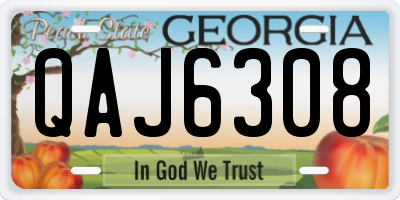 GA license plate QAJ6308