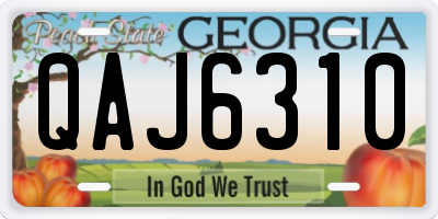 GA license plate QAJ6310