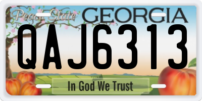 GA license plate QAJ6313