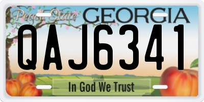 GA license plate QAJ6341