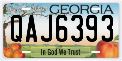 GA license plate QAJ6393