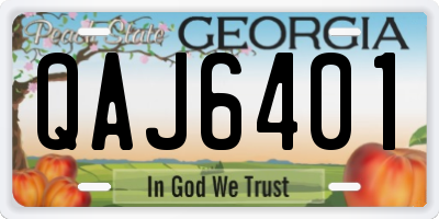 GA license plate QAJ6401