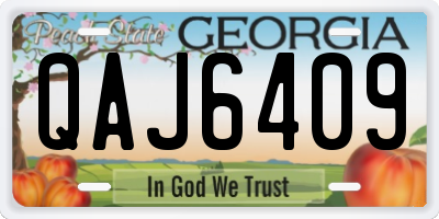 GA license plate QAJ6409