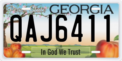 GA license plate QAJ6411