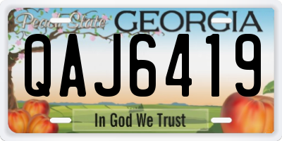 GA license plate QAJ6419