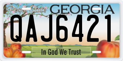 GA license plate QAJ6421
