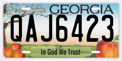 GA license plate QAJ6423