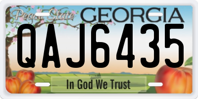 GA license plate QAJ6435