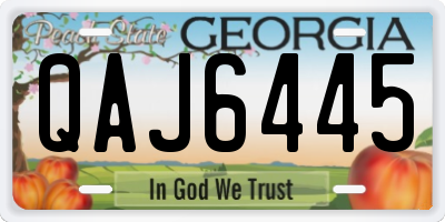 GA license plate QAJ6445